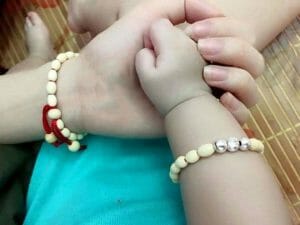 cay dau tam trong phong thuy2