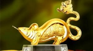 phong thuy nguoi tuoi ty