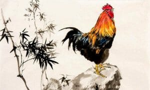 phong thuy nha o nguoi tuoi dau