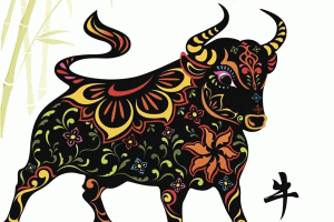 phong thuy nha o nguoi tuoi suu