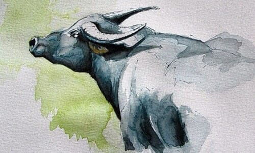 Phong thủy hướng nhà tuổi Sửu