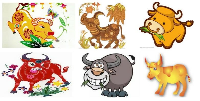 Phong thủy hướng nhà tuổi Sửu