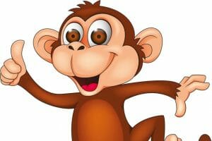 phong thuy nha o nguoi tuoi than1