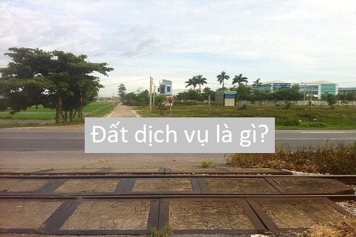 dat dich vu la gi2