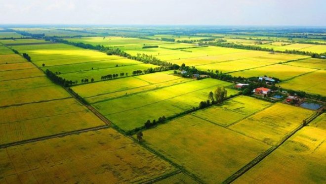 Hướng đẫn thủ tục mua bán đất nông nghiệp 2020