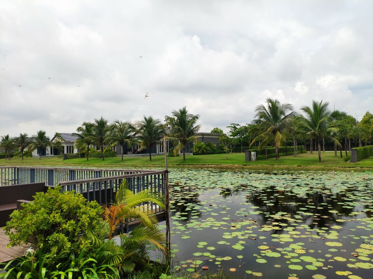 Resort hồ tràm