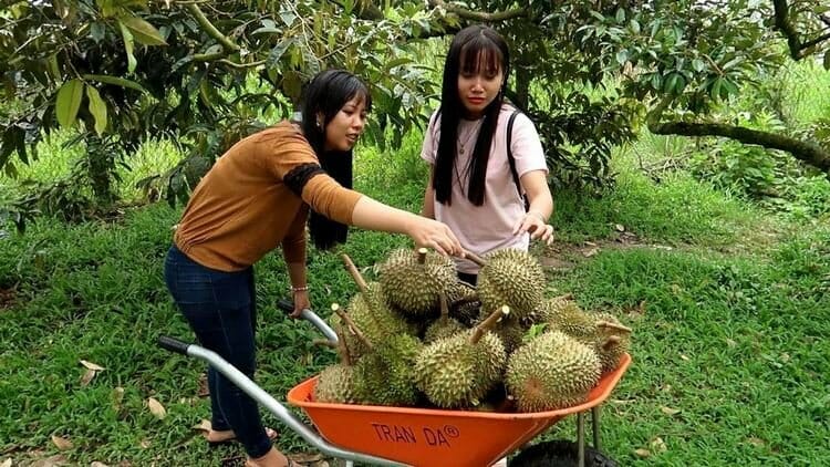 Địa điểm vui chơi Bình Dương