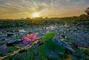 dia diem vui choi o thu duc14