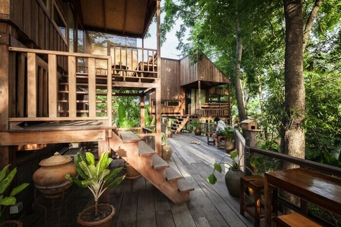 Đất lâm nghiệp