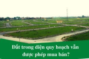 dat quy hoach co duoc mua ban khong2