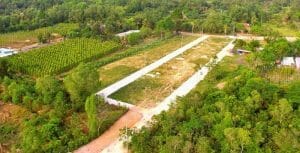 dat trong cay lau nam len tho cu