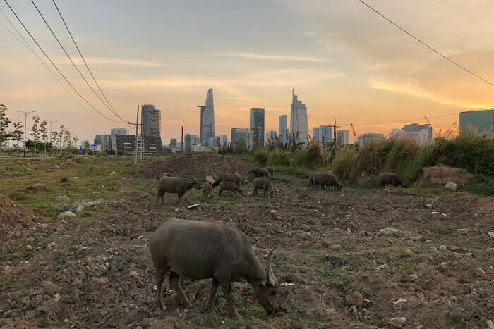 gia chuyen doi dat nong nghiep sang tho cu
