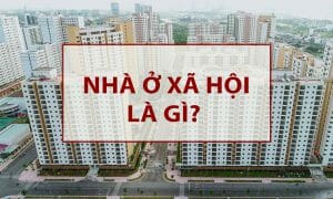 nha xa hoi1