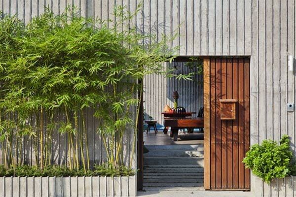 Trước cửa nhà nên trồng cây gì