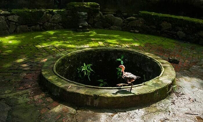 xây nhà trên giếng