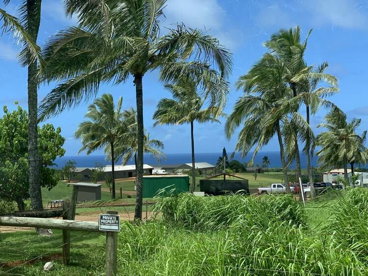 Xu hướng biệt thự đảo của giới siêu giàu