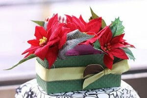 cay hoa trang nguyen2