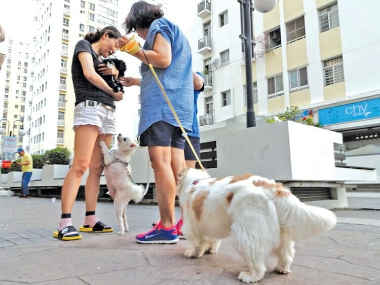 tiện ích và bất lợi của căn hộ chung cư