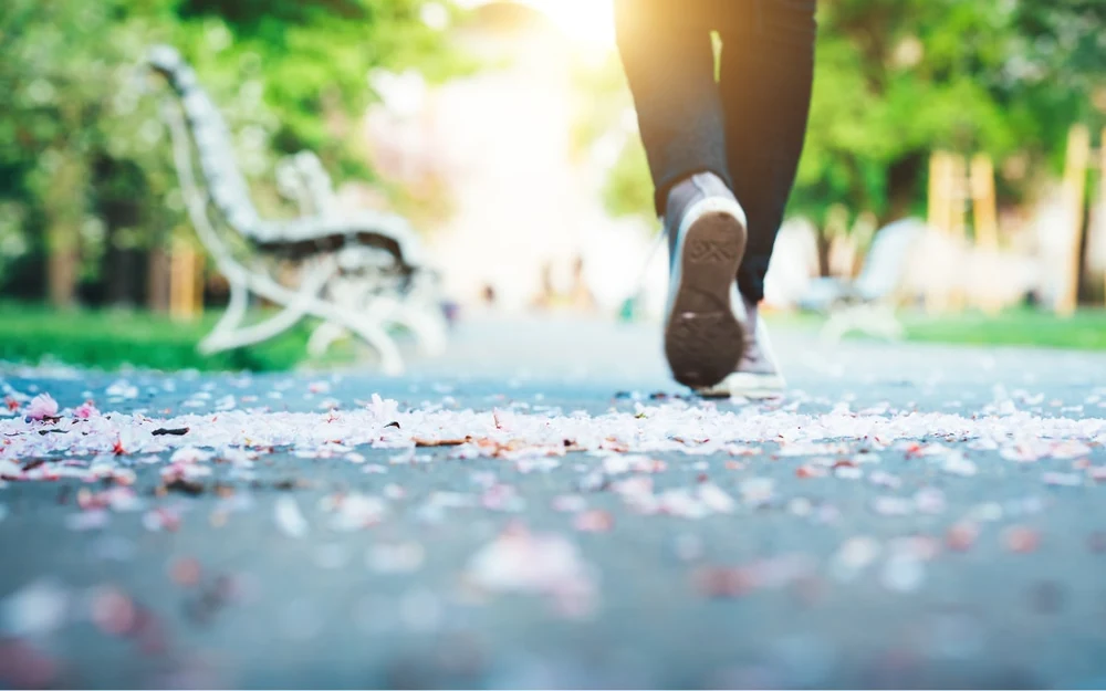 Công Viên Lê Văn Tám